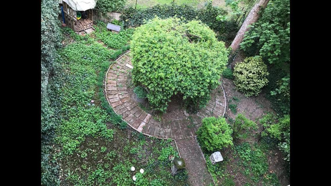 Casa Luminosa Con Giardino In Centro Storico Apartman Reggio Emilia Kültér fotó